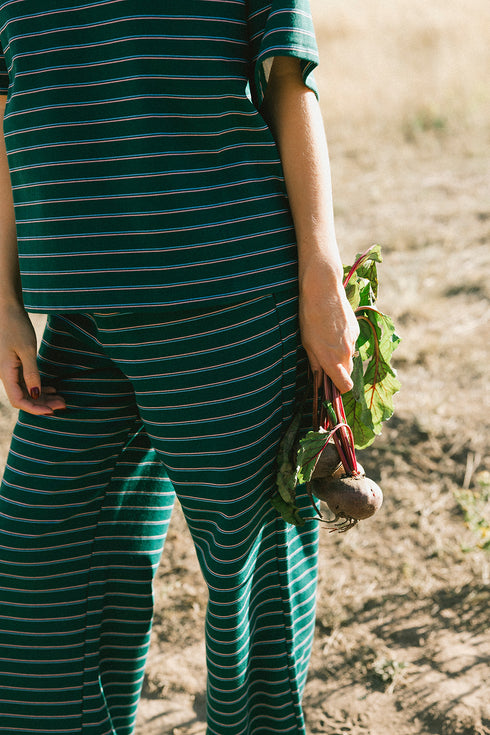 Upstate Striped Pant // Forest