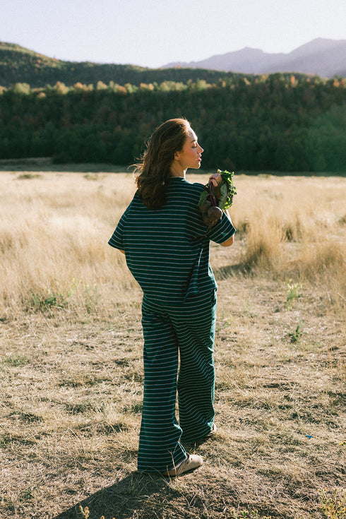Upstate Striped Pant // Forest
