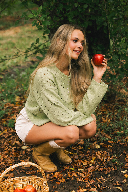 Everyday Pointelle Cutie // Crisp