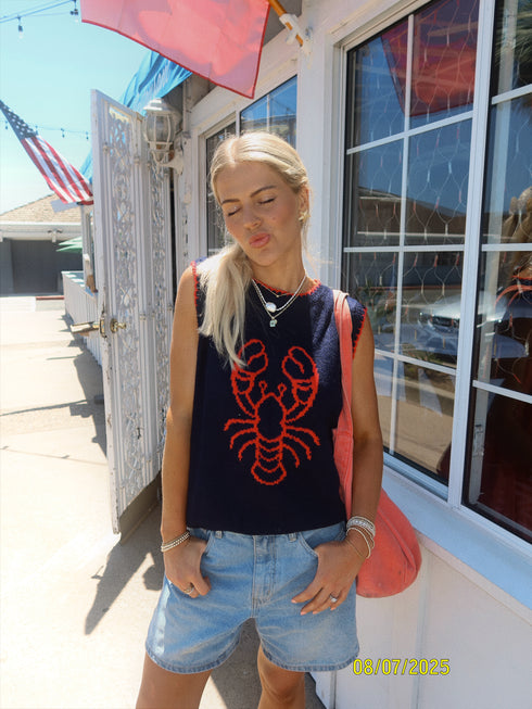 Maine Chick Knit Top // Navy