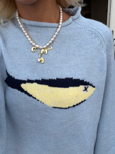 Cape Catch Sweater // Tide