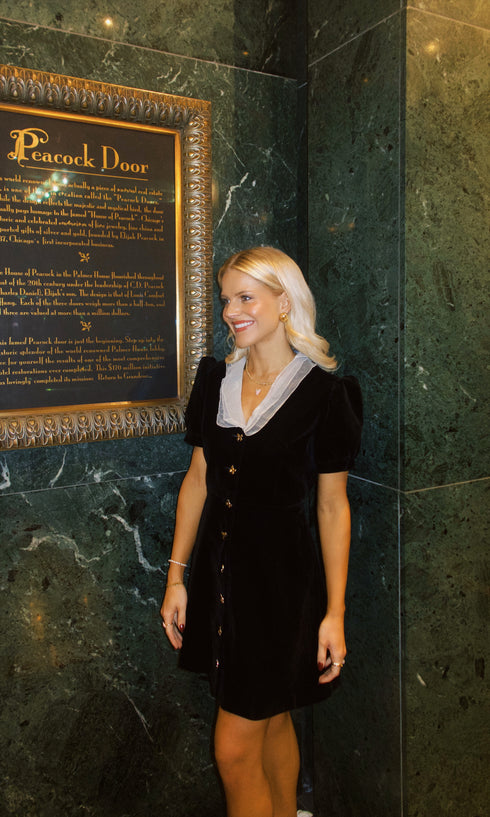 The Waldorf Mini Dress