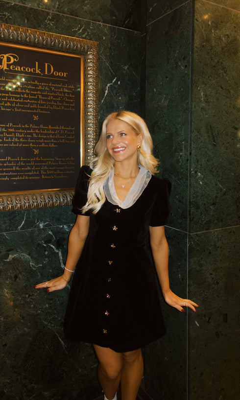 The Waldorf Mini Dress