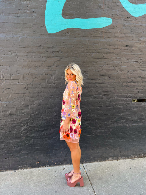 Rose Garden Embellished Dress