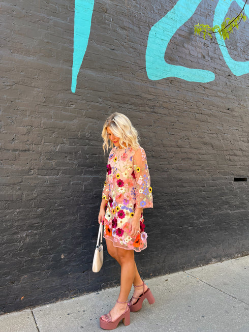 Rose Garden Embellished Dress