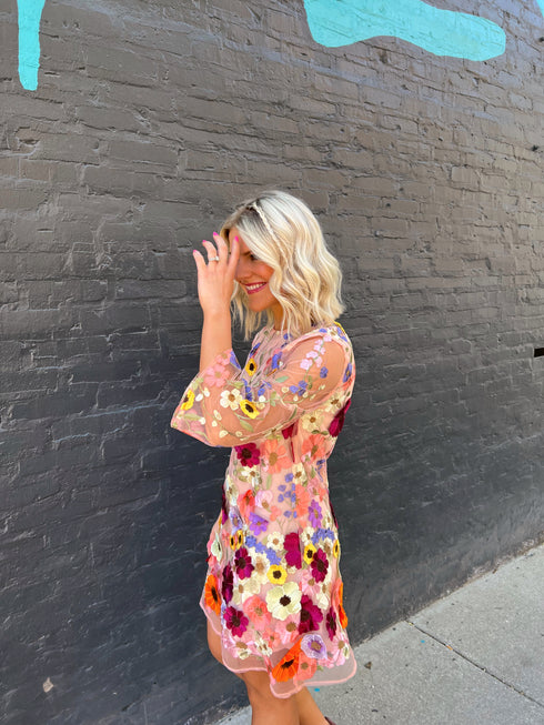 Rose Garden Embellished Dress