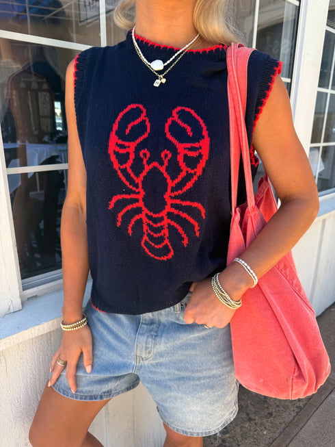 Maine Chick Knit Top // Navy